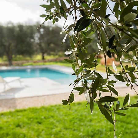 Dimora La Scaledda Bed & Breakfast Serranova ภายนอก รูปภาพ